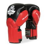 Boxerské rukavice BB1 - prírodná koža DBX BUSHIDO