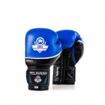 Boxerské rukavice kožené DBX BUSHIDO DBD-B-2 v2