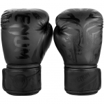 Boxerské rukavice Gladiator 3.0 matne čierne VENUM