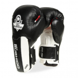 Boxerské rukavice - koža DBX BUSHIDO B-3W Pro