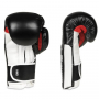 Boxerské rukavice DBX BUSHIDO B-3W pohled 1