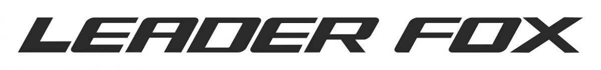 Leader fox logo